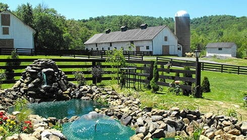 Aspen Dale Winery Wine Fauquier Wine Vineyards