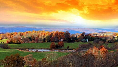 Blue Valley Vineyard and Winery, Fauquier Winery, A member of the Fauquier Wine Council, Virginia Vineyard.