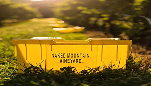 Naked Mountain Vineyard, Fauquier Winery, A member of the Fauquier Wine Council, Virginia Vineyard.