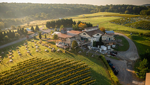 Barrel Oak Winery and Brewery - aerial view of BOW vineyards, building, picnic area, and horizon