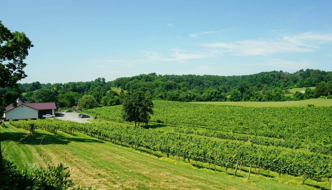 pearmund cellars exterior